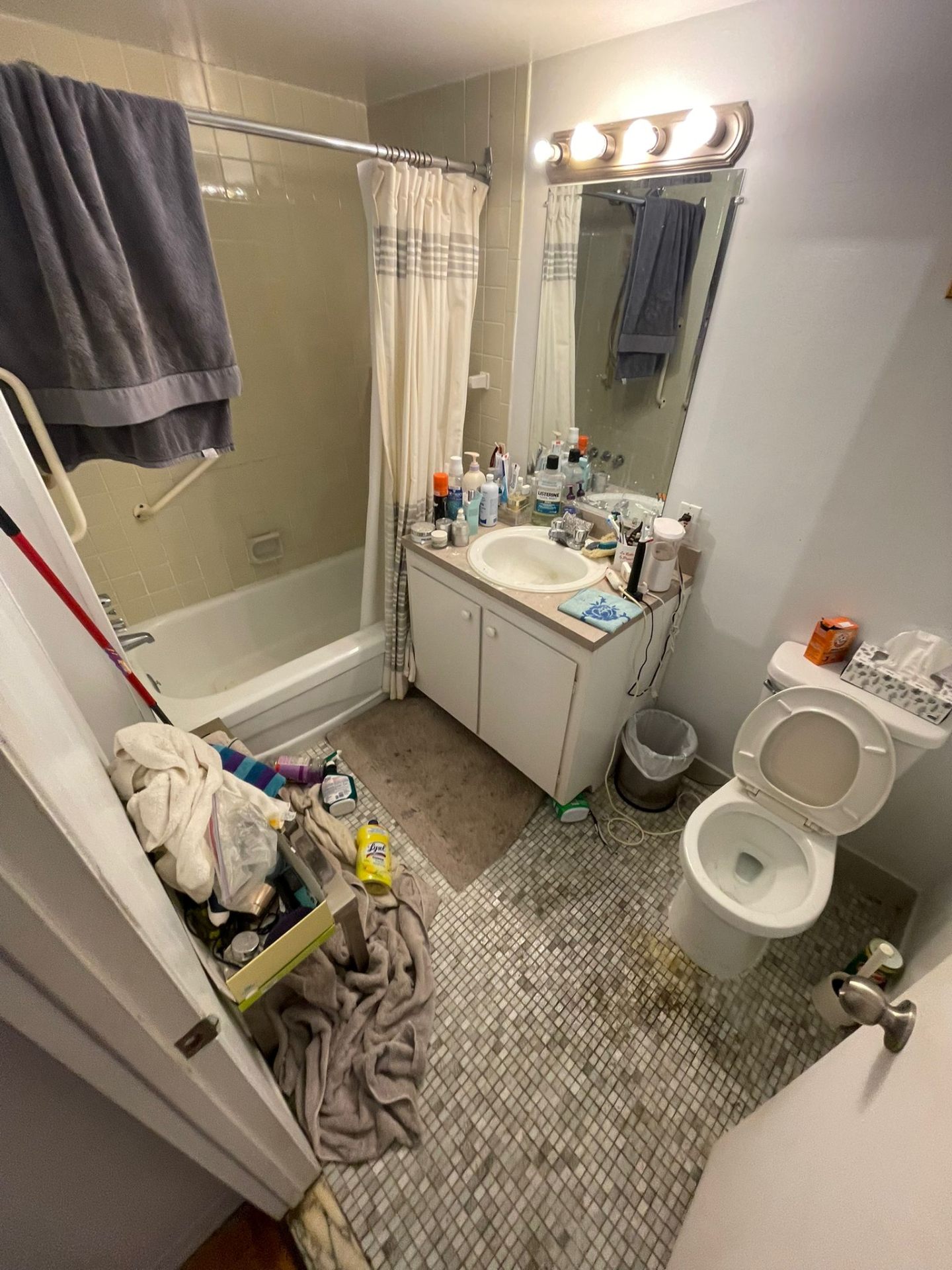 Bathroom Transformation - Before